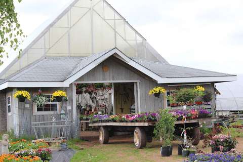 Island Pride Garden Co. Belle River Island Pride Garden Co. Belle River